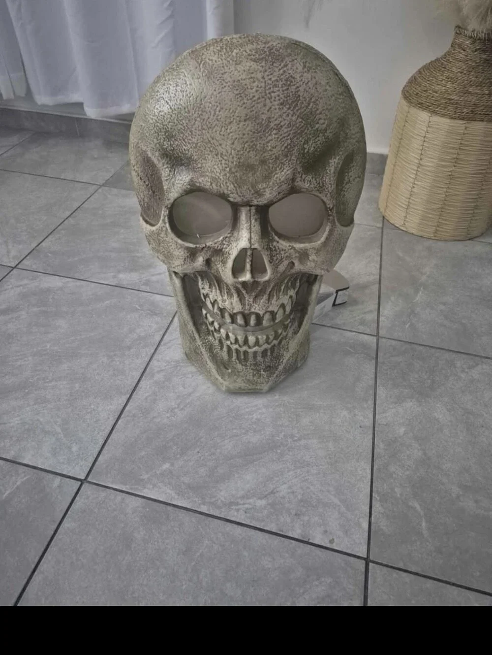 Halloween Decor